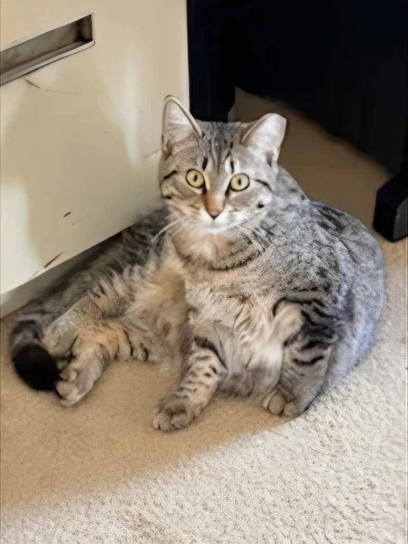 Princess thumbnail 2