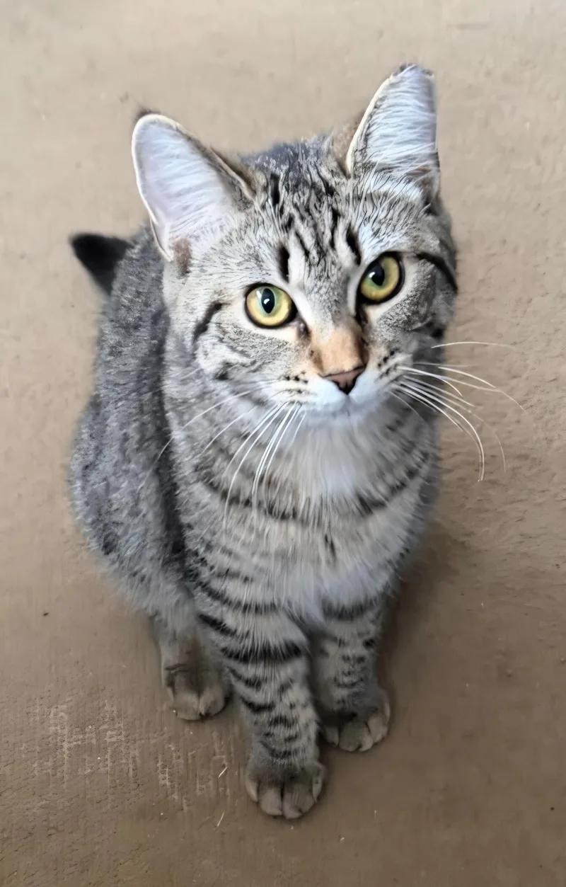 Princess thumbnail 3