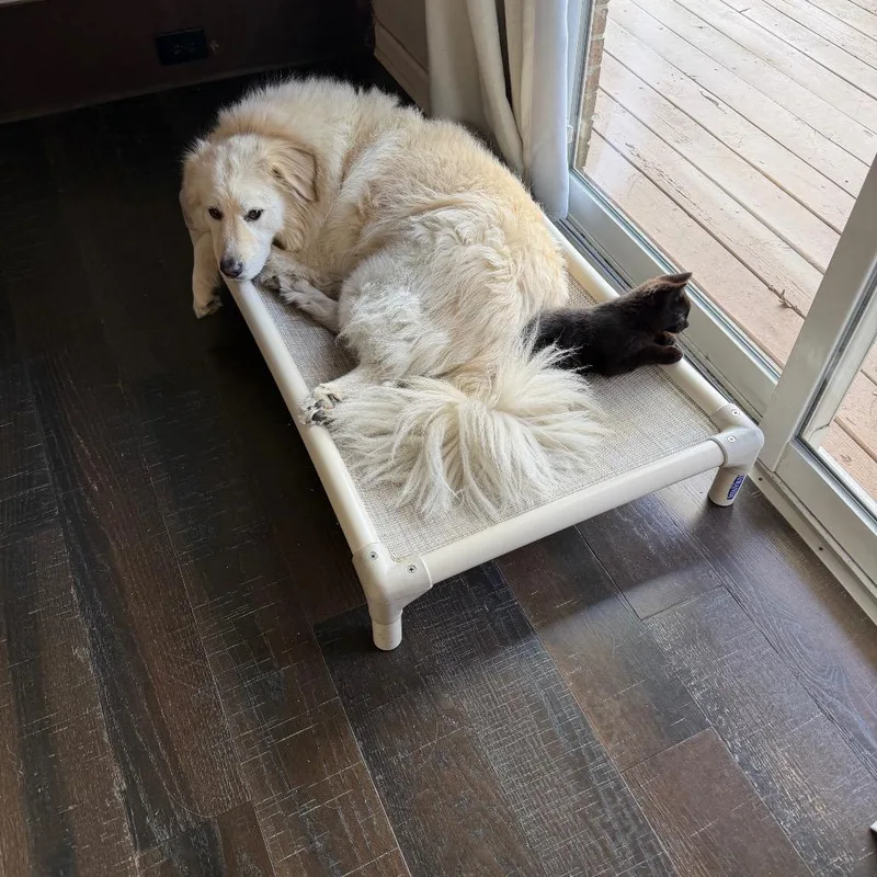 Beyblade thumbnail 2