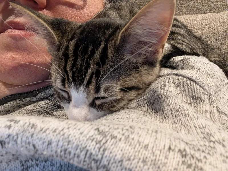 Betsy thumbnail 3