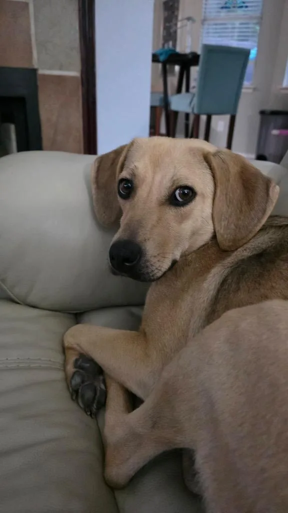 Roxy thumbnail 5