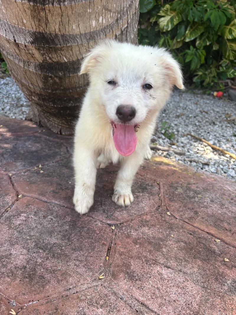 Delilah