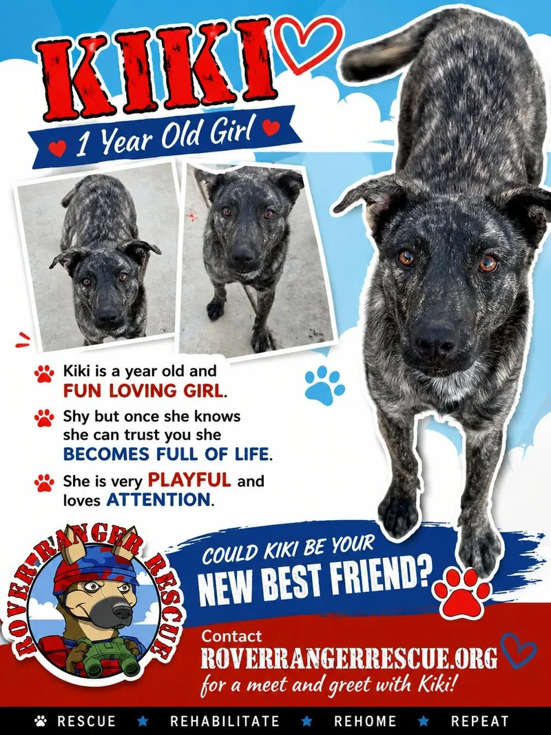 A young medium-sized female Husky dog named Kiki for adoption in Wrightwood, CA