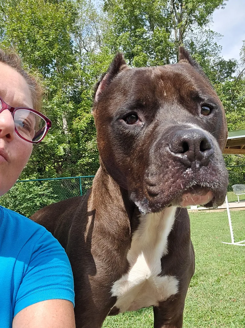 Franklin thumbnail 2