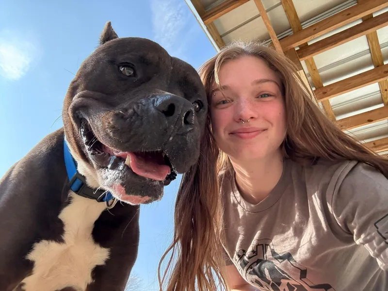 Franklin thumbnail 3