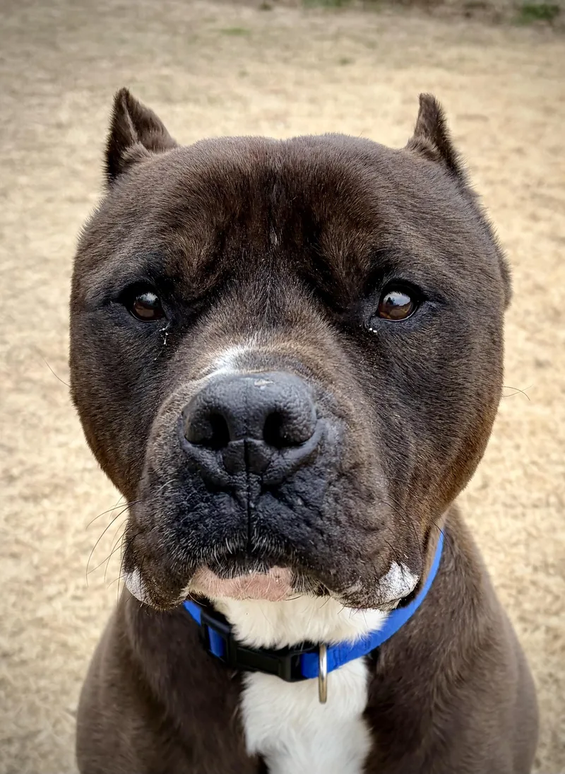 Franklin thumbnail 5