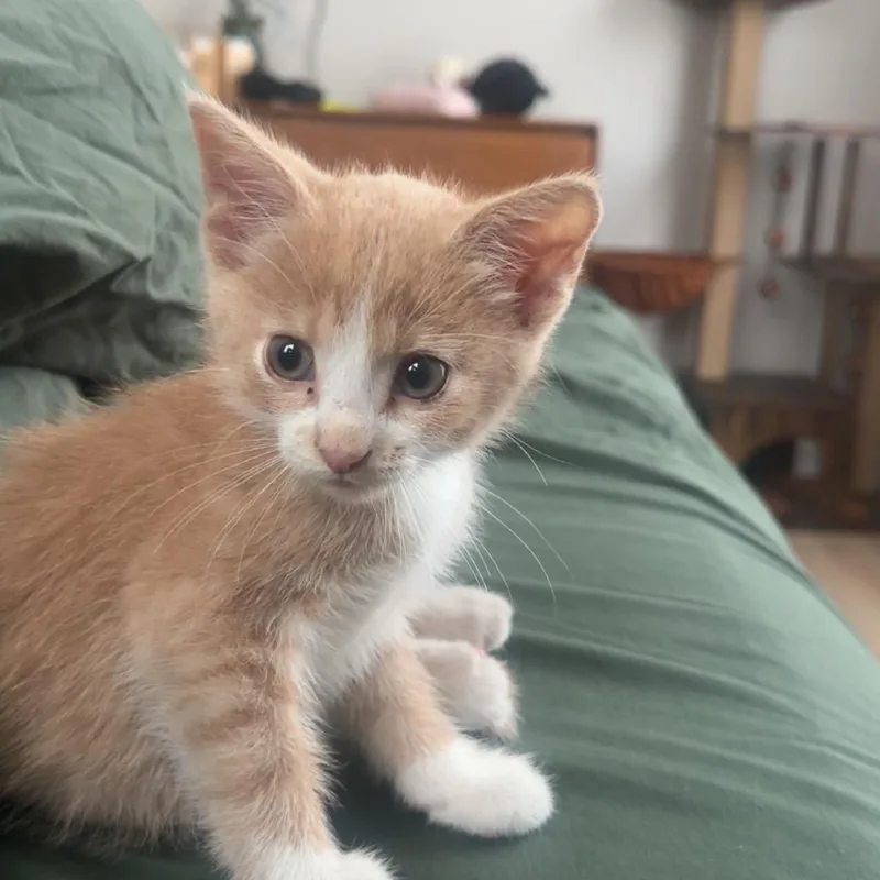 Winnie