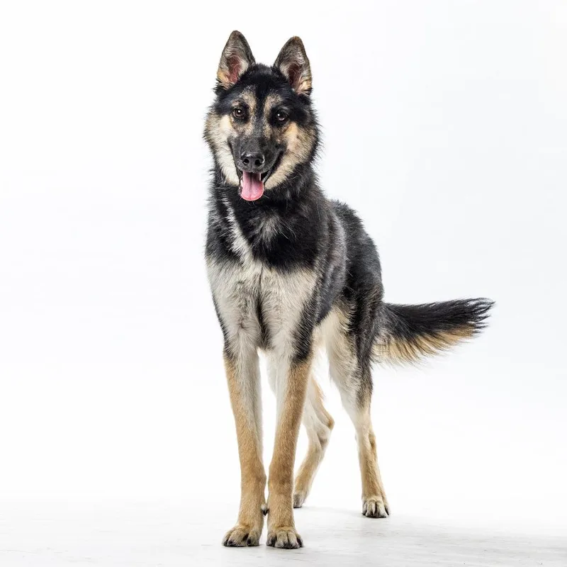 Skittles thumbnail 4