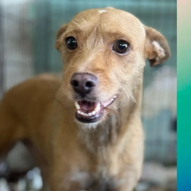 Stephanie thumbnail 2