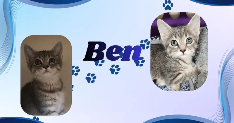 Ben
