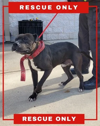 Lockwood thumbnail 2