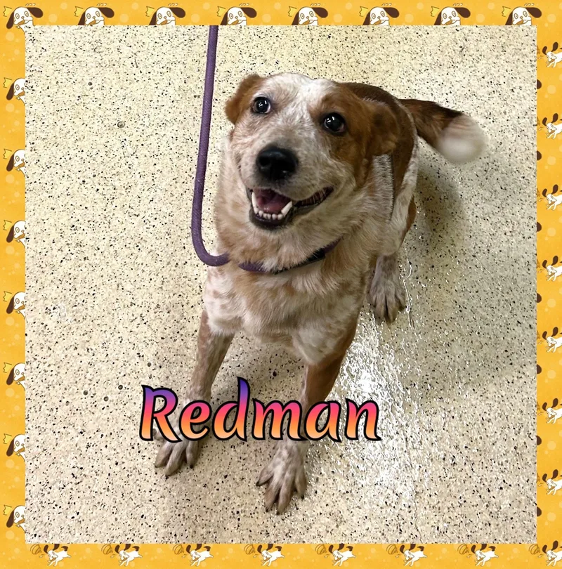 Redman
