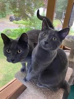 Hannah And Gracie thumbnail 2