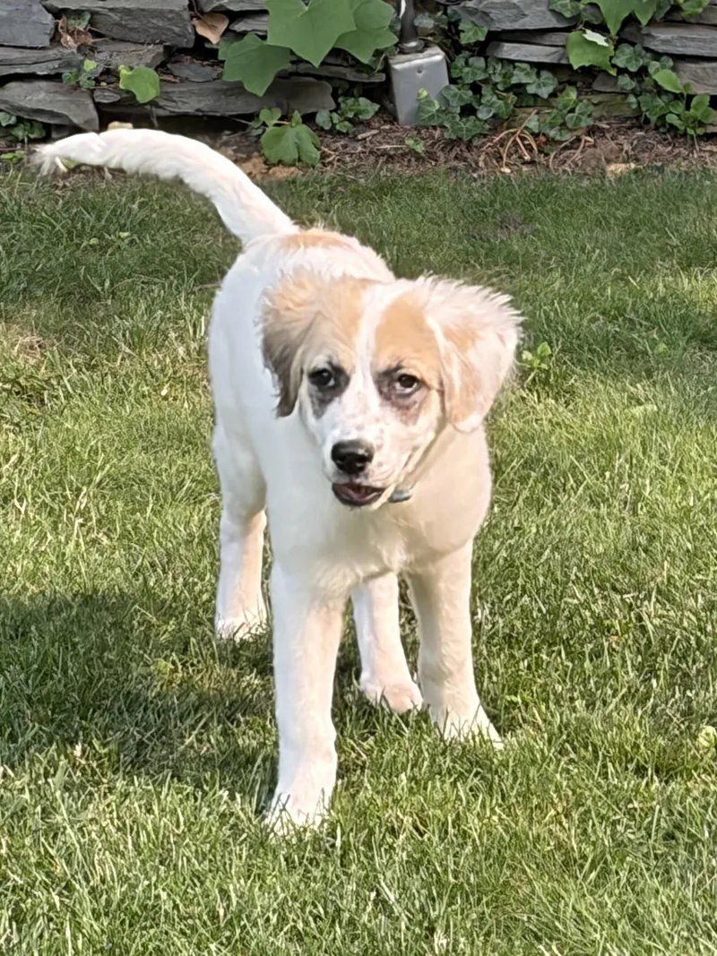 Darla thumbnail 3