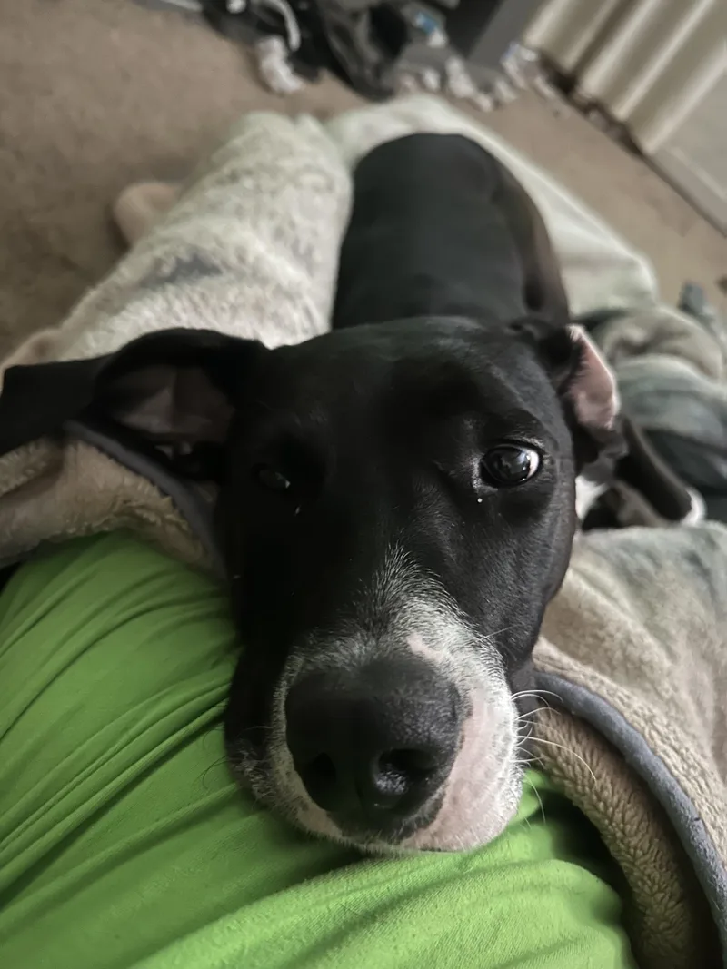 Raindrop thumbnail 2