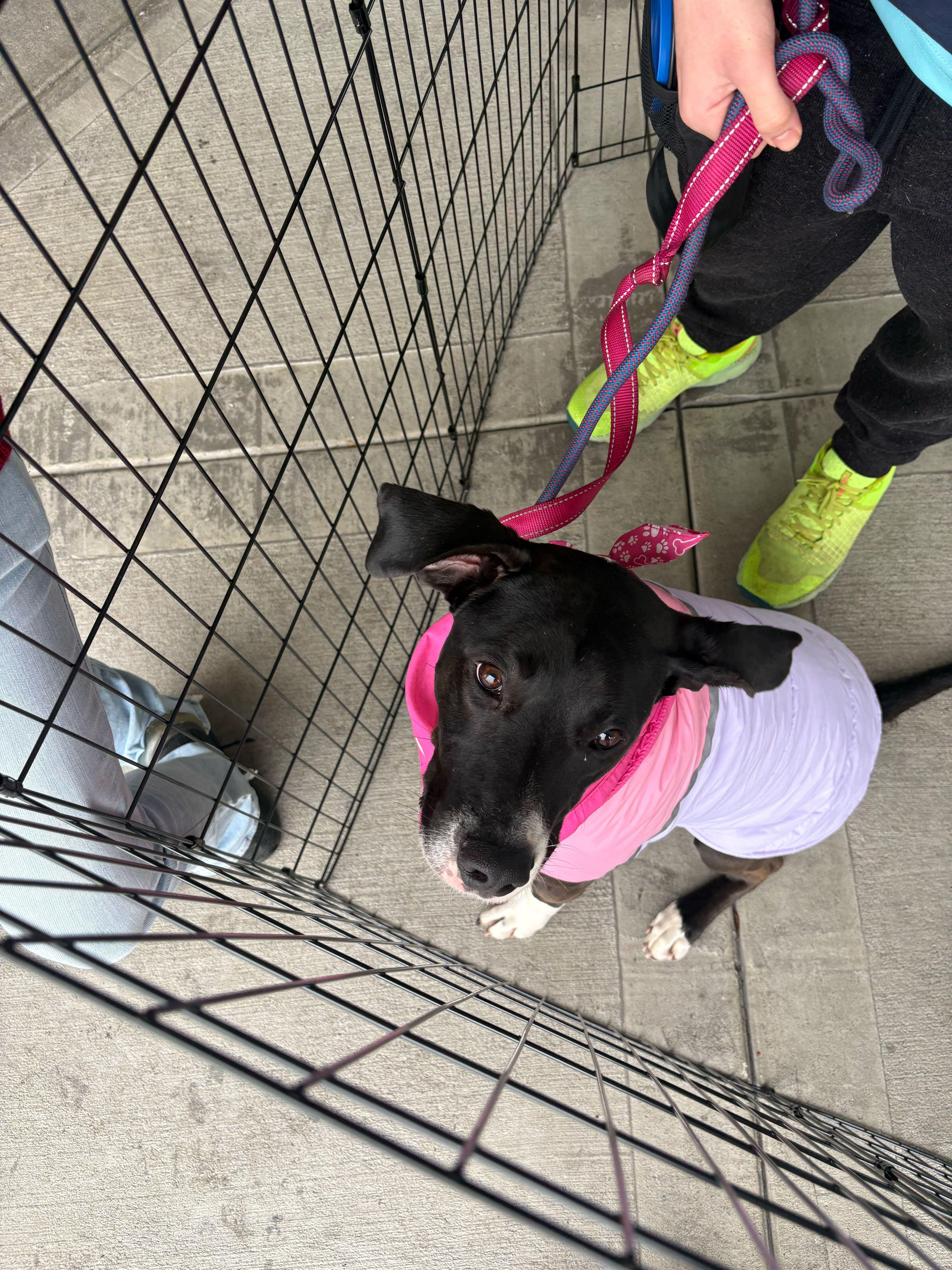 Raindrop thumbnail 4