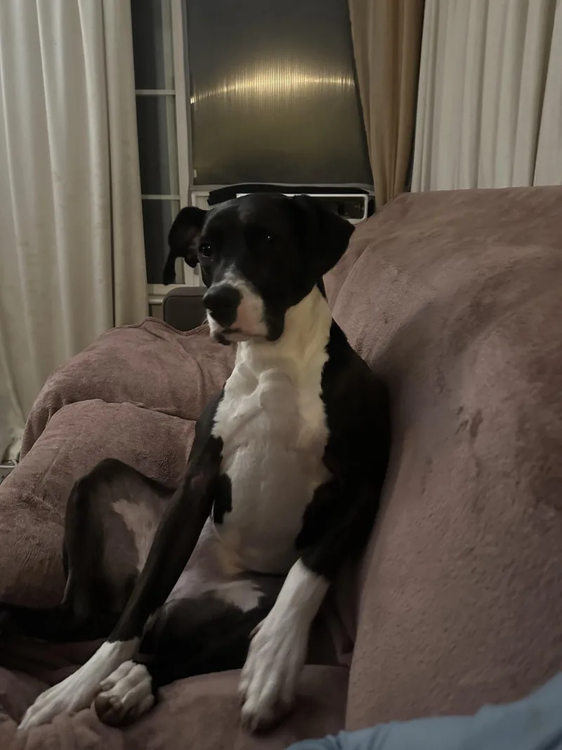 Raindrop thumbnail 5