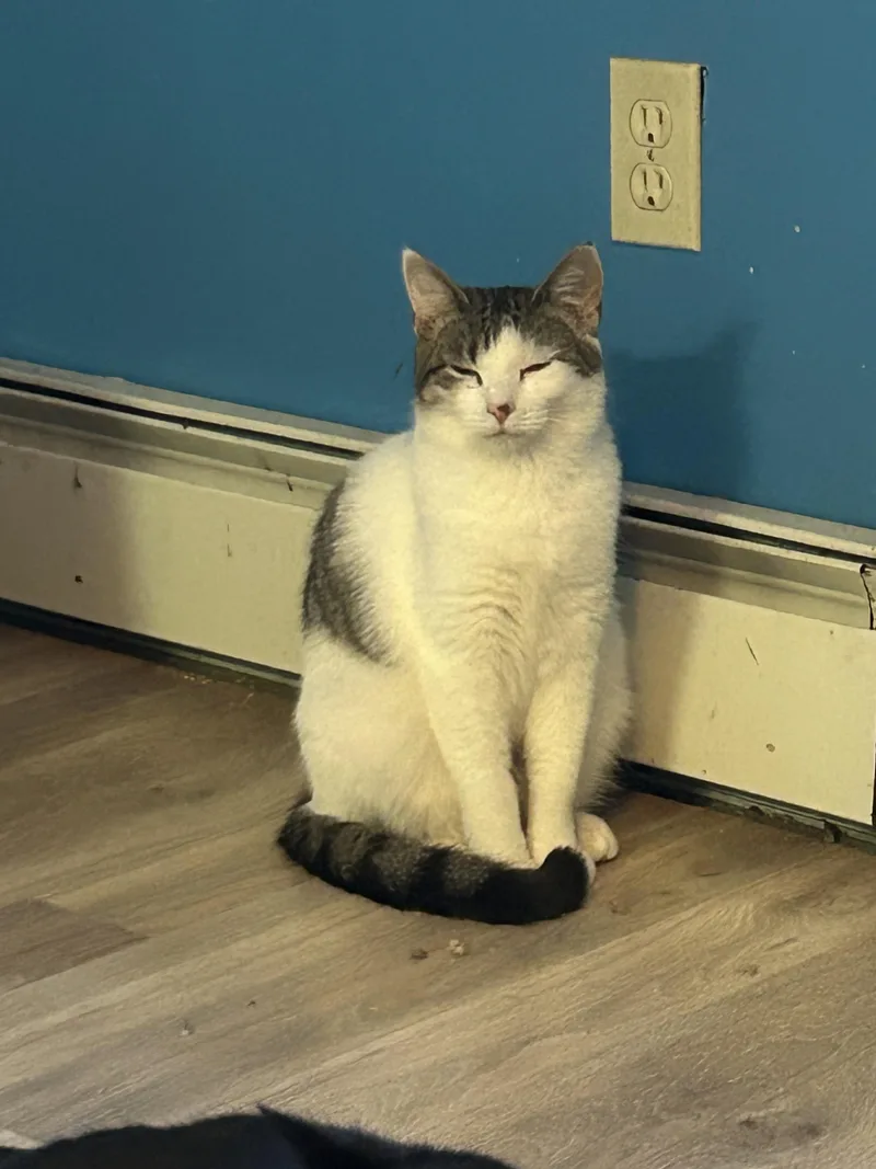 Lala & Dipsy thumbnail 3