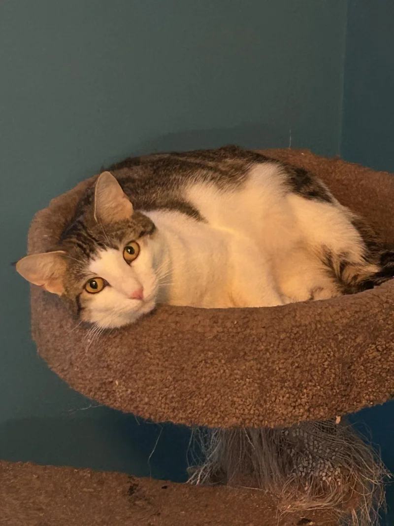 Lala & Dipsy thumbnail 5