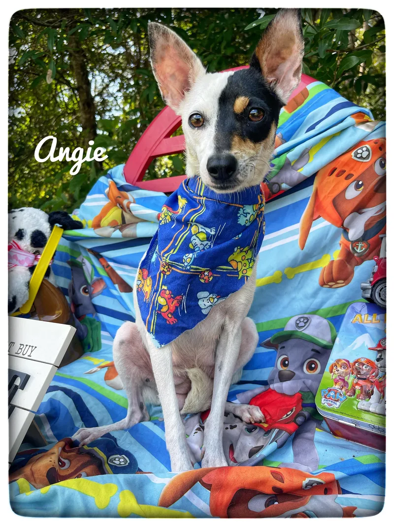 Angie thumbnail 3