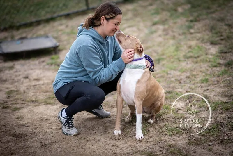 Nova Noodle thumbnail 4