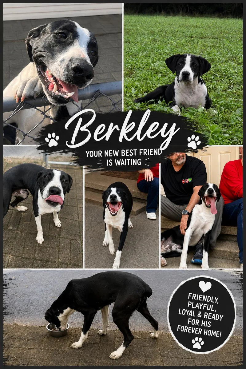 Berkley