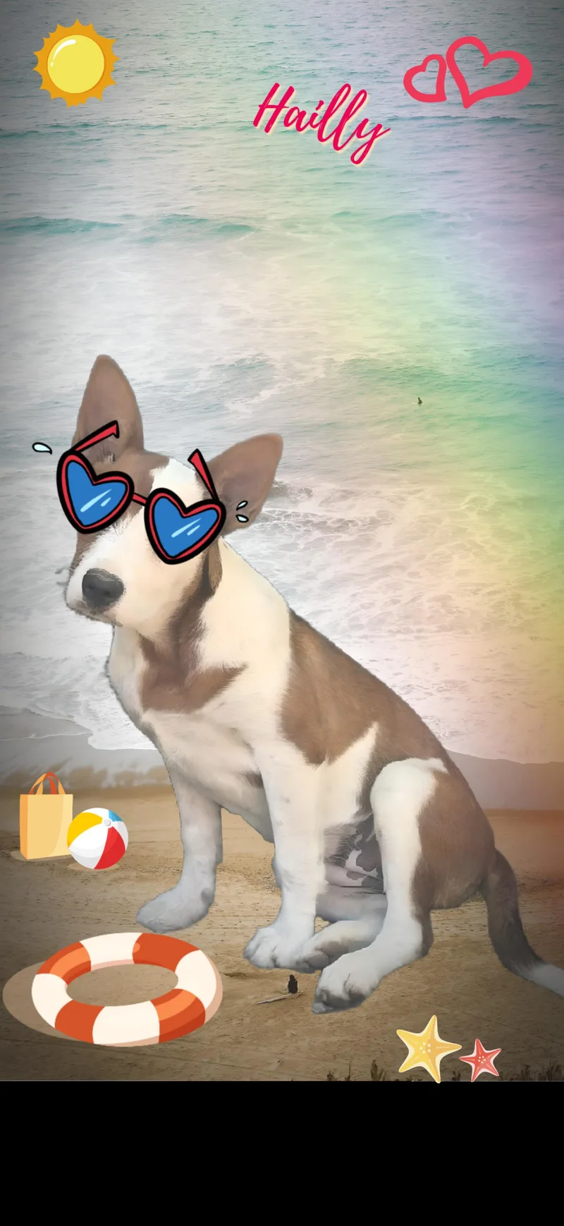 Hailly  Mvt thumbnail 3