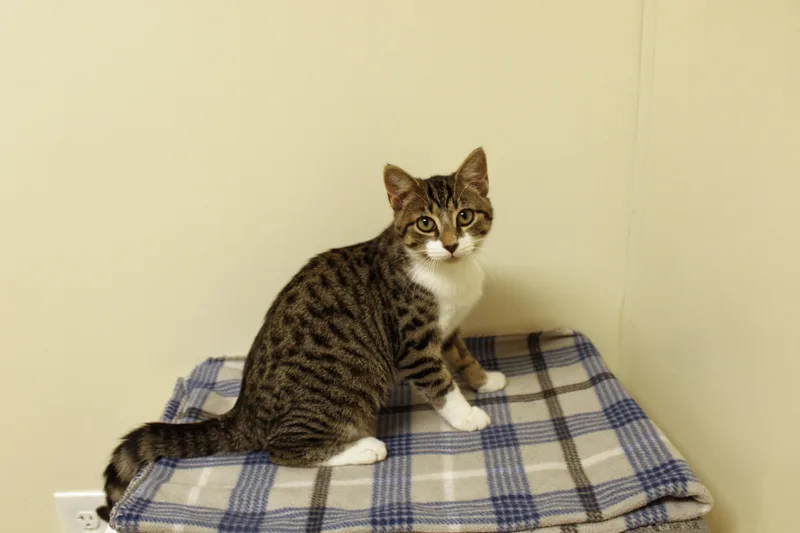 Tallulah thumbnail 2