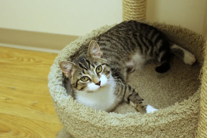 Tallulah thumbnail 4