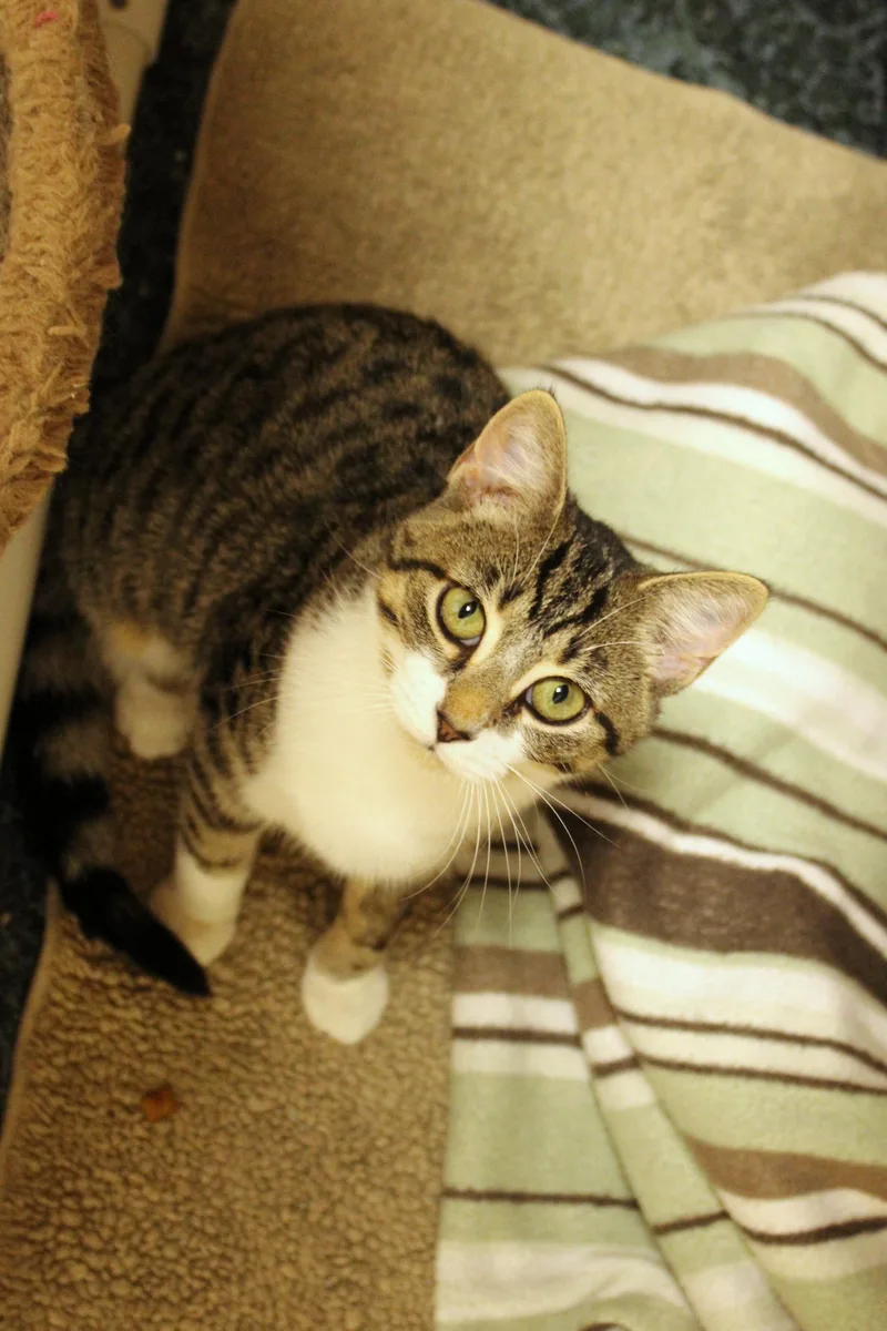 Tallulah thumbnail 5