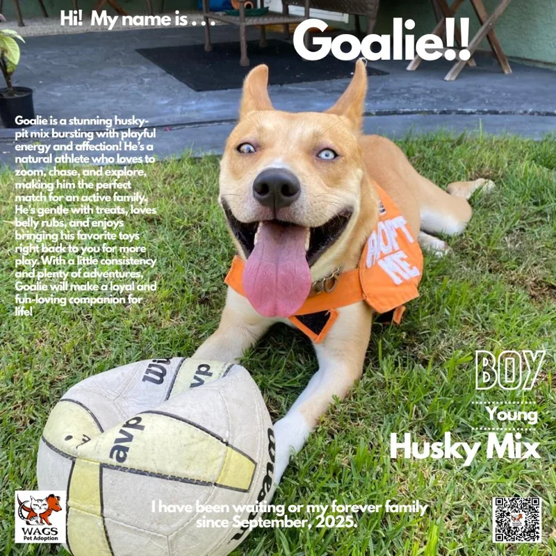 Goalie thumbnail 2