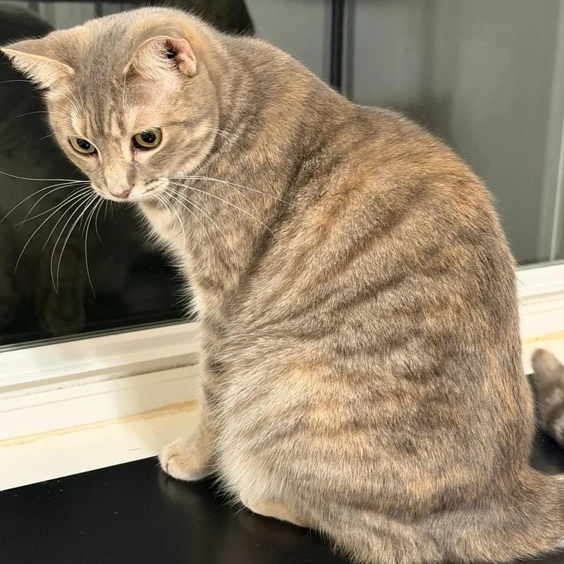 Winifred thumbnail 3