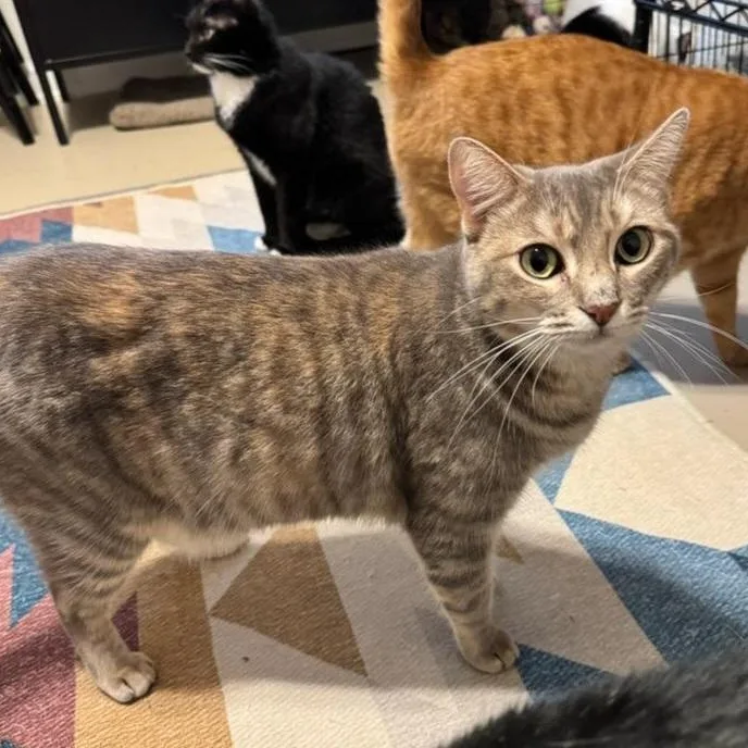 Winifred thumbnail 6