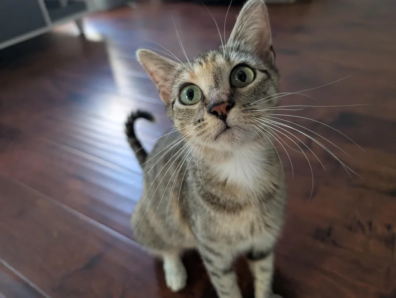 Rosie thumbnail 3