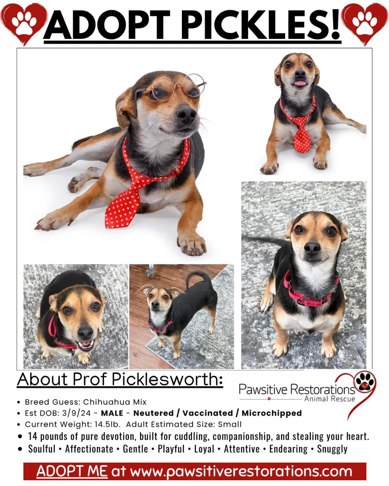 Professor Picklesworth thumbnail 2