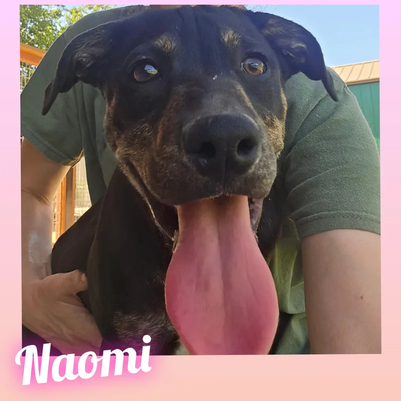 Naomi thumbnail 4