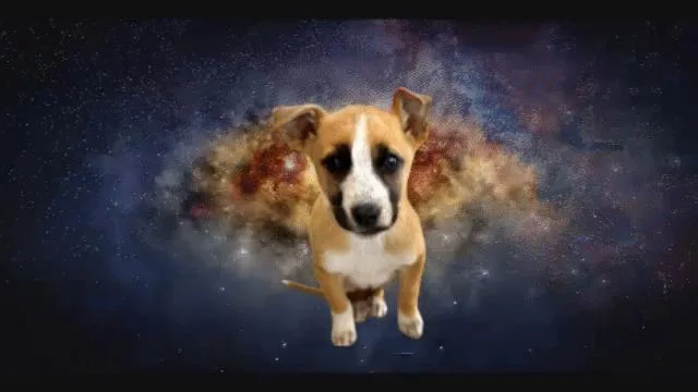 Nebula Litter:  Nova thumbnail 3