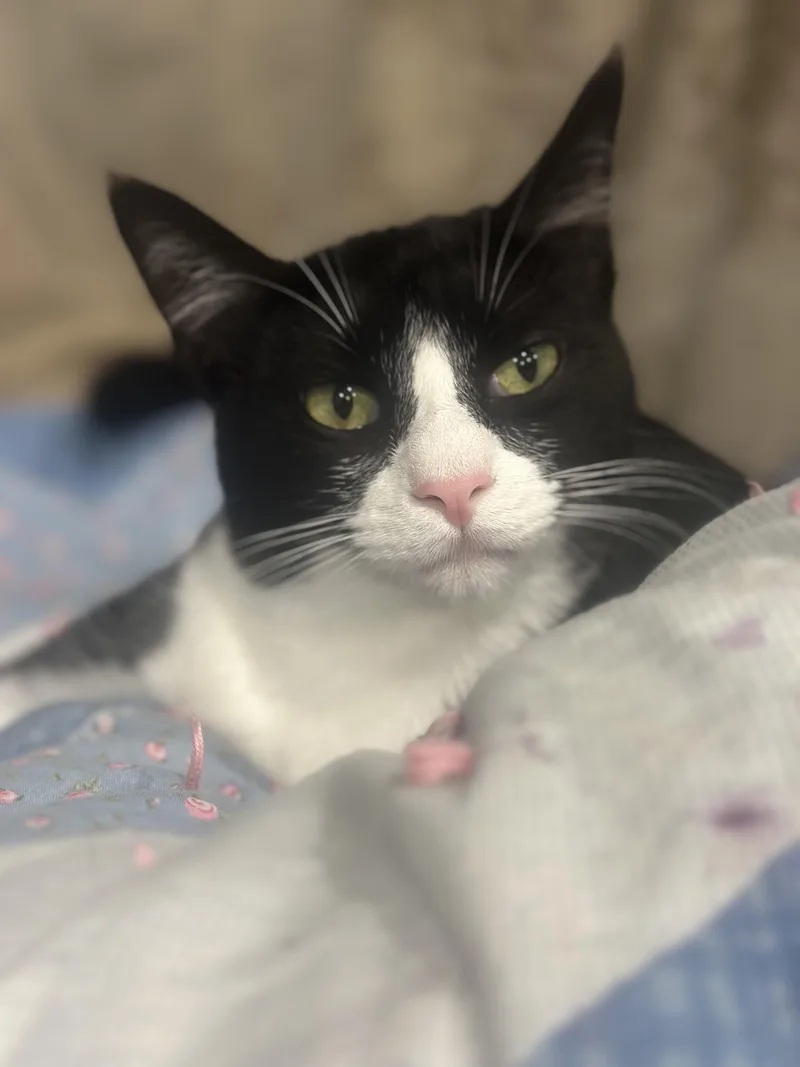 Pasquale & White Fella thumbnail 2