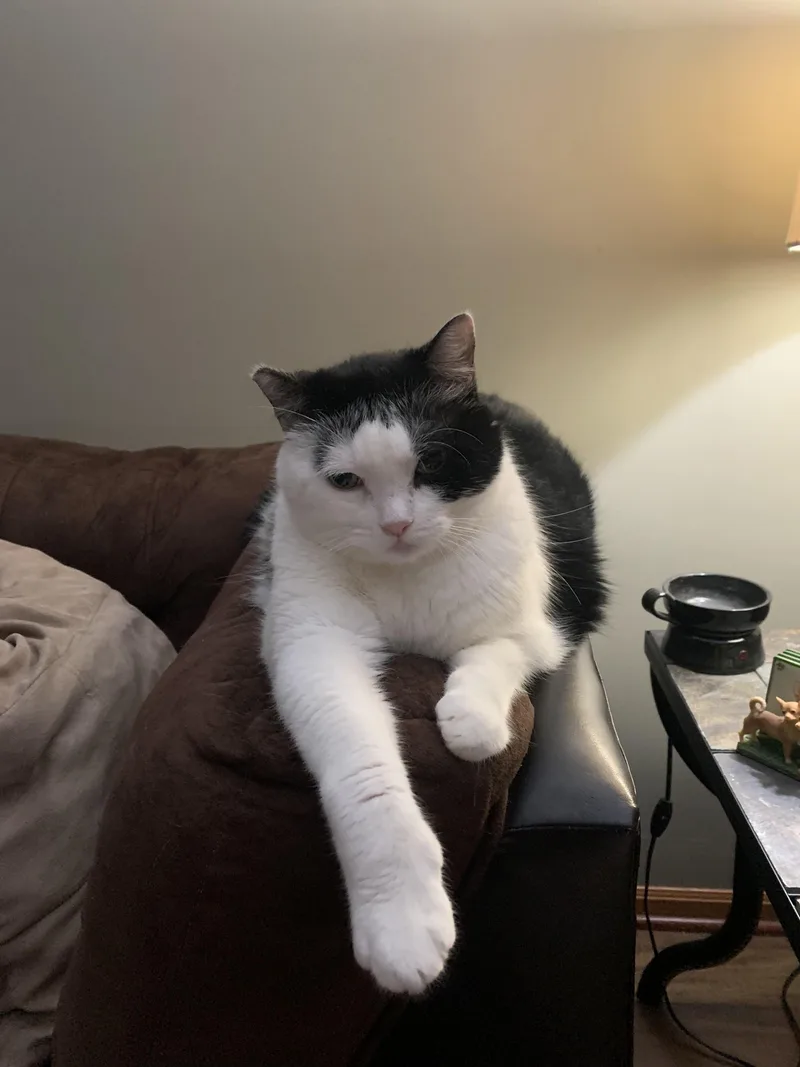 Tux thumbnail 2