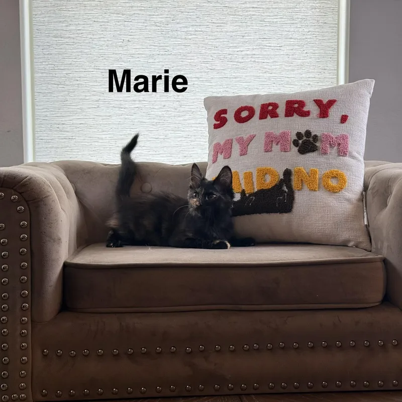 Marie thumbnail 2