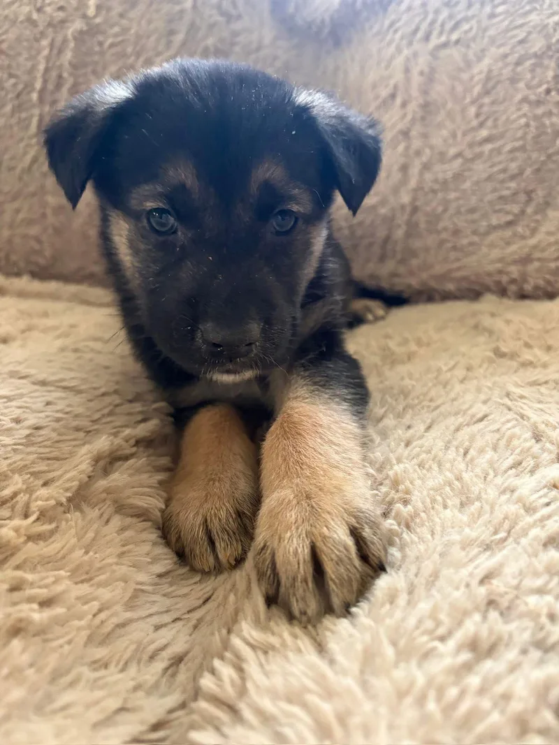 Wallstreet thumbnail 2