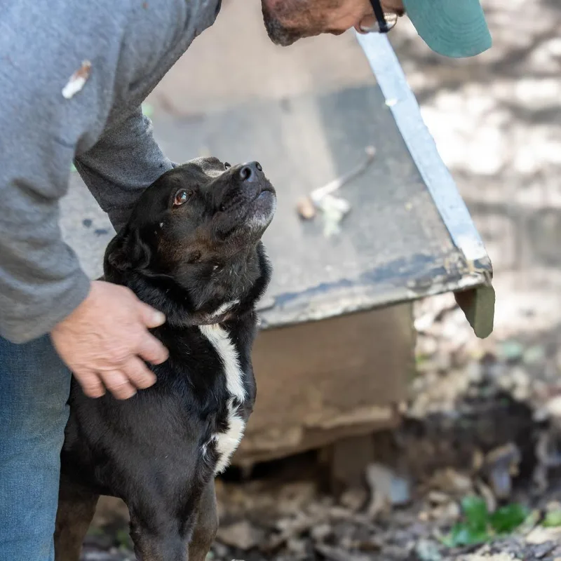 Crunchy  Mojo thumbnail 2