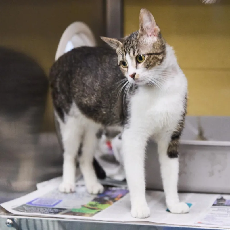 Trace thumbnail 4