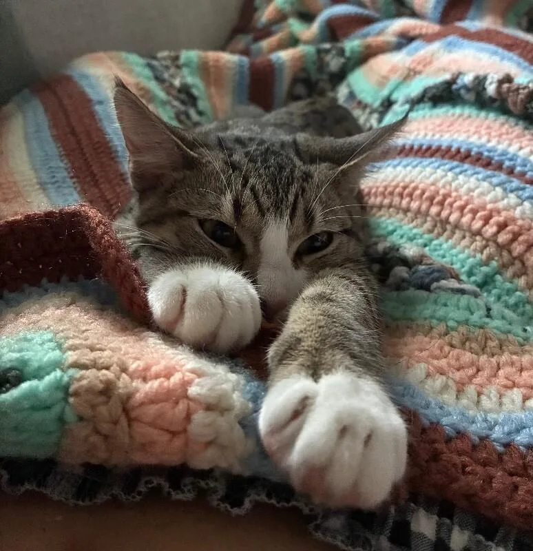 Agnes  Granny Litter thumbnail 2