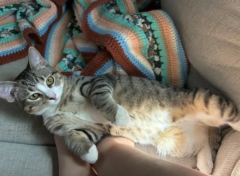 Agnes  Granny Litter thumbnail 4