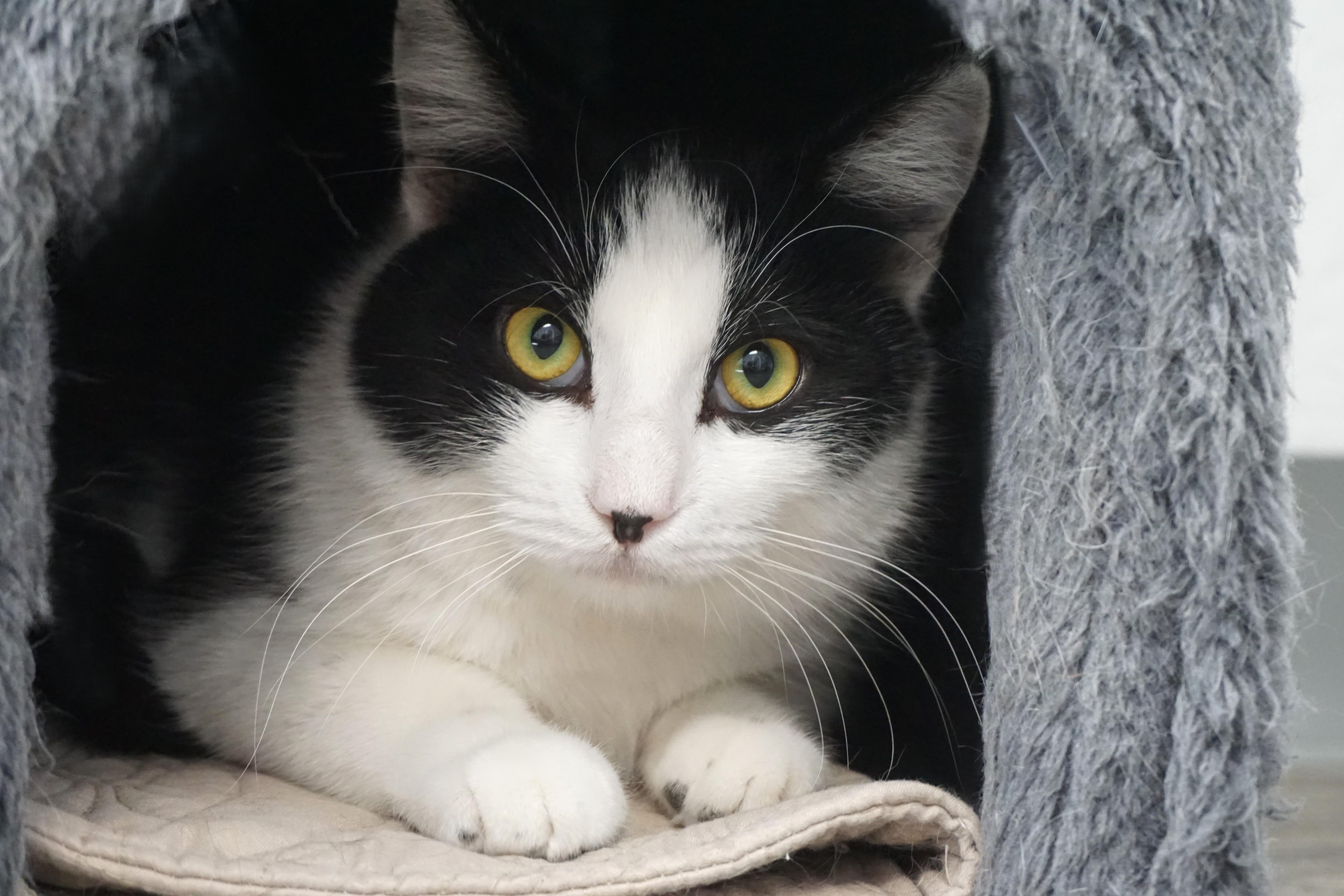 Dirty Martini thumbnail 2