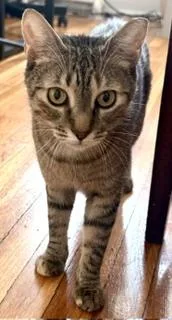 Roxie thumbnail 3
