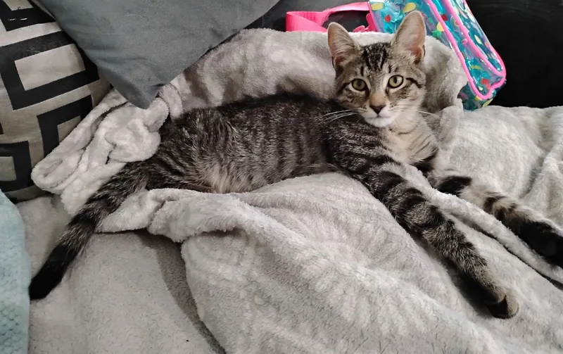 Ricky and Bobbi thumbnail 4