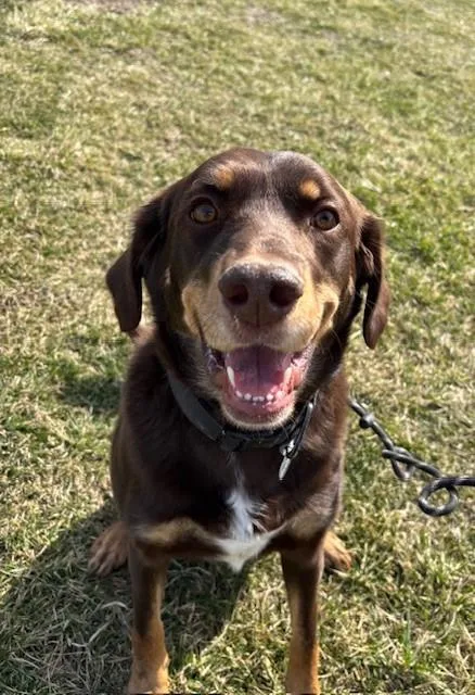 Lincoln James thumbnail 2