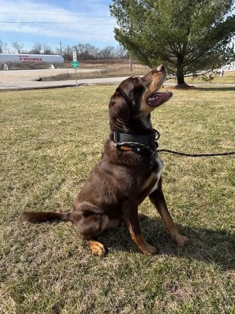 Lincoln James thumbnail 3